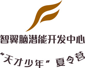 天才少年夏令营