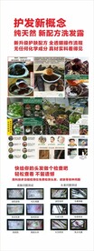 护发 洗发露 首乌