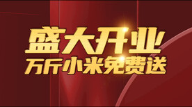 黄金立体字样机