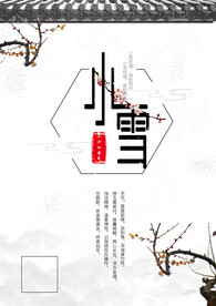 小雪活动背景