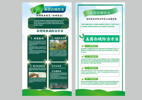 林业生物防治白蛾松材线虫病展架