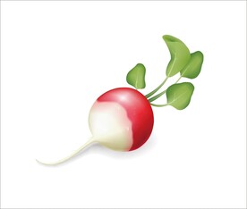 红萝卜