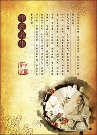 中药养生