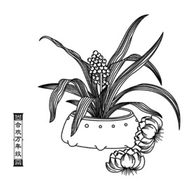 合欢万年纹