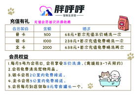 宠物护理