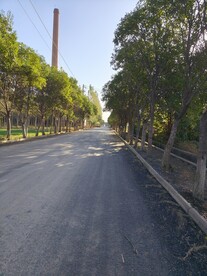 乡间油泊路