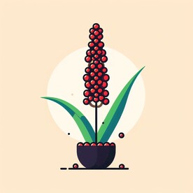 创意高梁设计