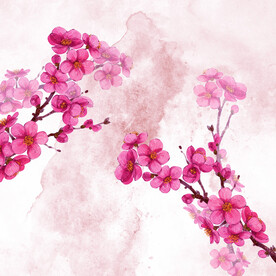 水彩花枝素材
