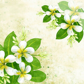 水彩花卉花枝素材