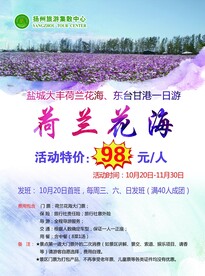 盐城荷兰花海旅游单页
