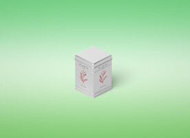            茶叶包装