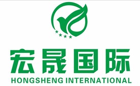 宏晟国际 