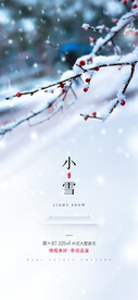 小雪海报 