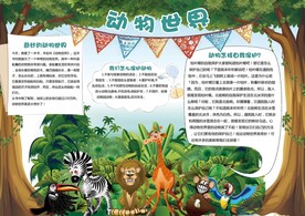 动物手抄报