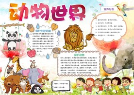 动物手抄报