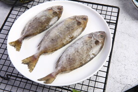 鲜泥猛鱼