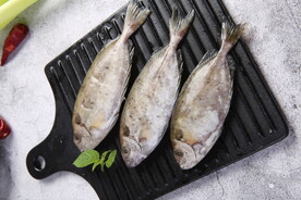 鲜泥猛鱼