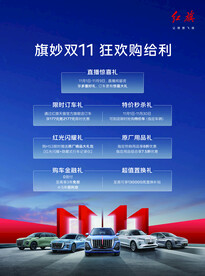 红旗汽车DM单