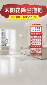 太阳花除尘拖把直播背景