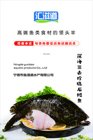 石斑鱼海报