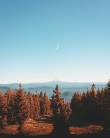 山脉树林风景和弯月