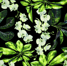 植物花