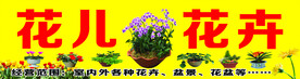 花儿花卉招牌
