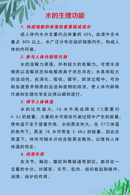 水的生理功能