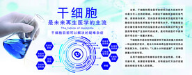 干细胞再生医学海报