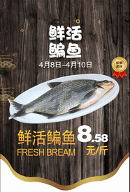 鲜活鳊鱼