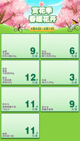 赏花季