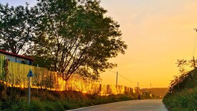 南康镇农场夕阳中的下坡路