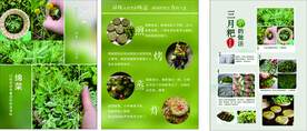 三月粑的步骤  做法