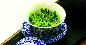 龙井问茶