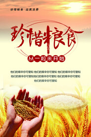 珍惜粮食海报