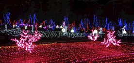灯会灯展