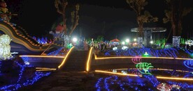 灯展 夜景