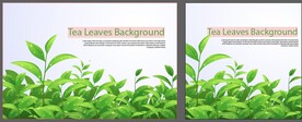 树叶绿叶草花