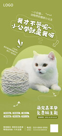 白色猫咪萌宠促销活动海报