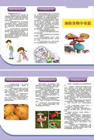 食品安全三折页