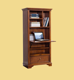 书房书柜书架 