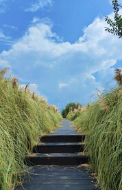 大理风光