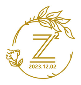 双Z图标