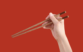 筷子样机 