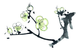 国画花卉梅花