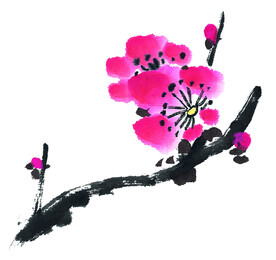 国画花卉梅花
