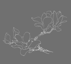 花卉矢量图