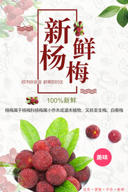 新鲜杨梅