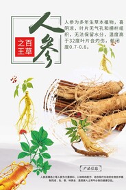人参