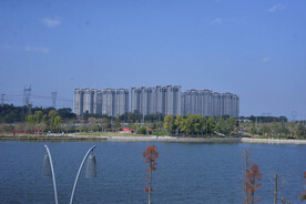 湖景楼盘